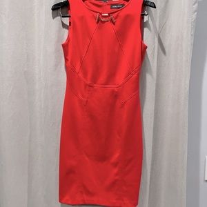 Ivanka Trump red-orange colored knee length size 6